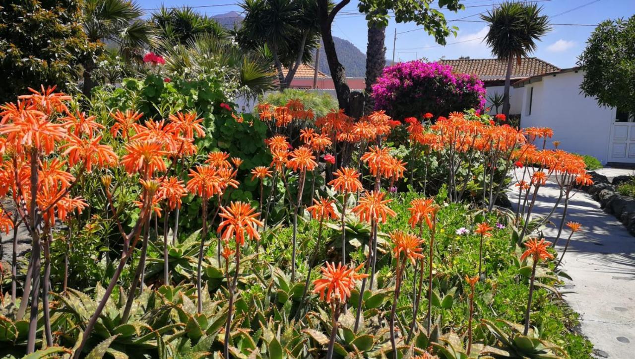 Finca Primavera El Paso Ngoại thất bức ảnh