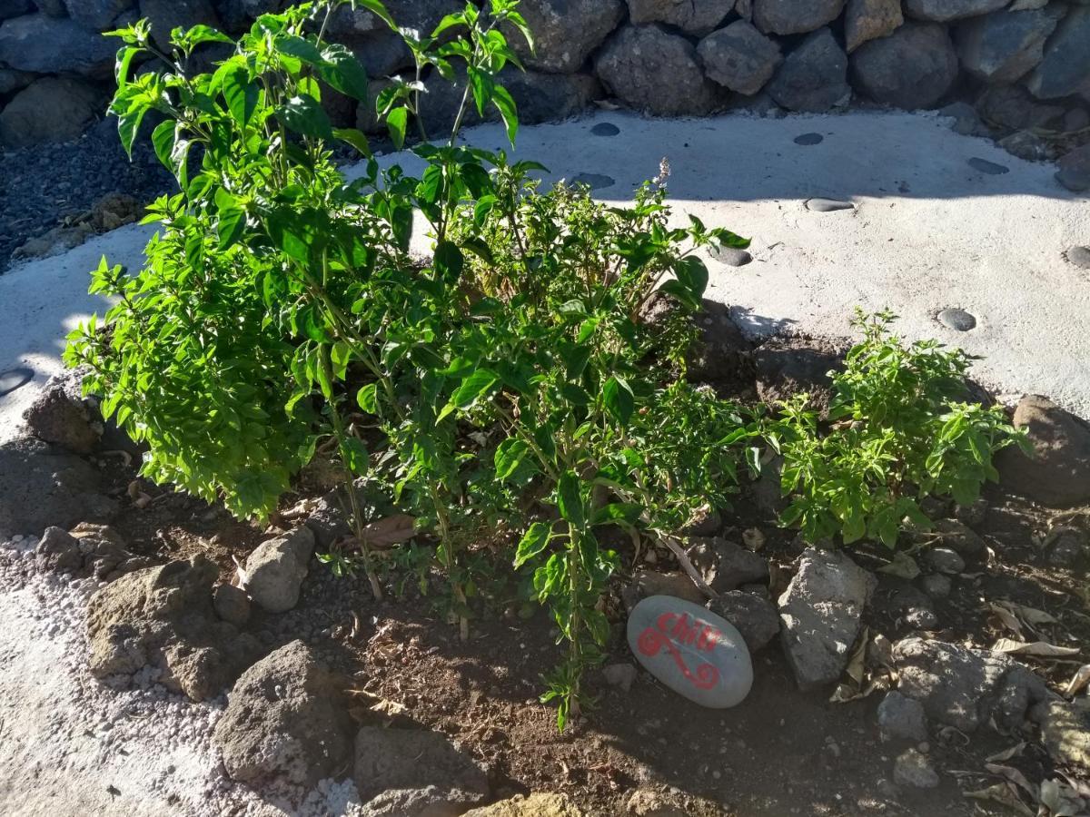Finca Primavera El Paso Ngoại thất bức ảnh