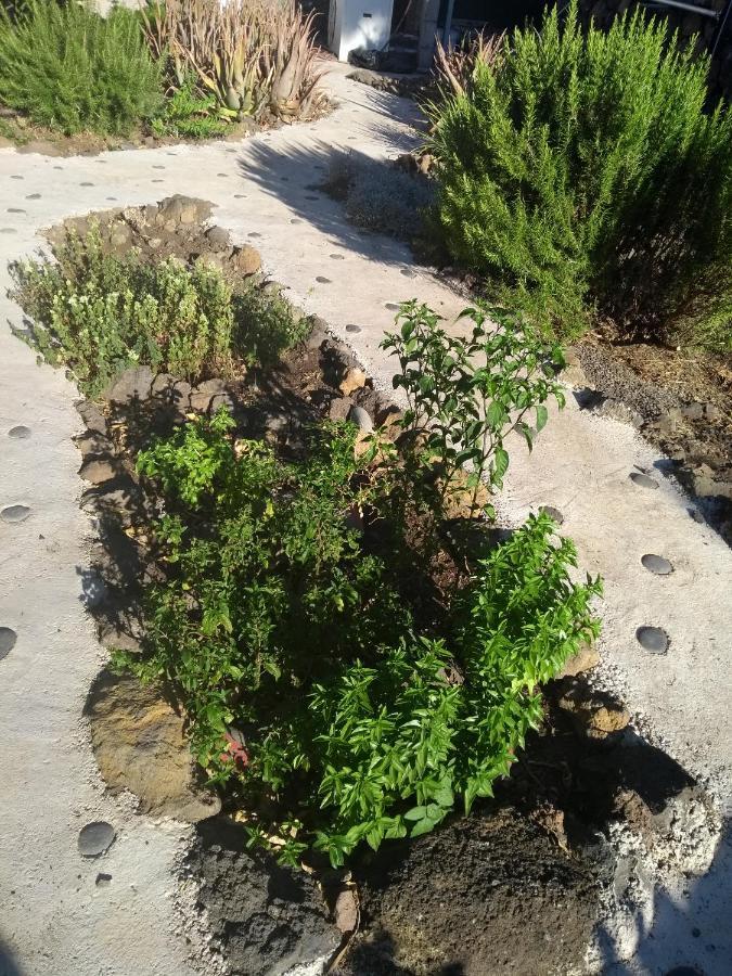 Finca Primavera El Paso Ngoại thất bức ảnh