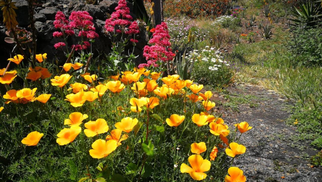 Finca Primavera El Paso Ngoại thất bức ảnh