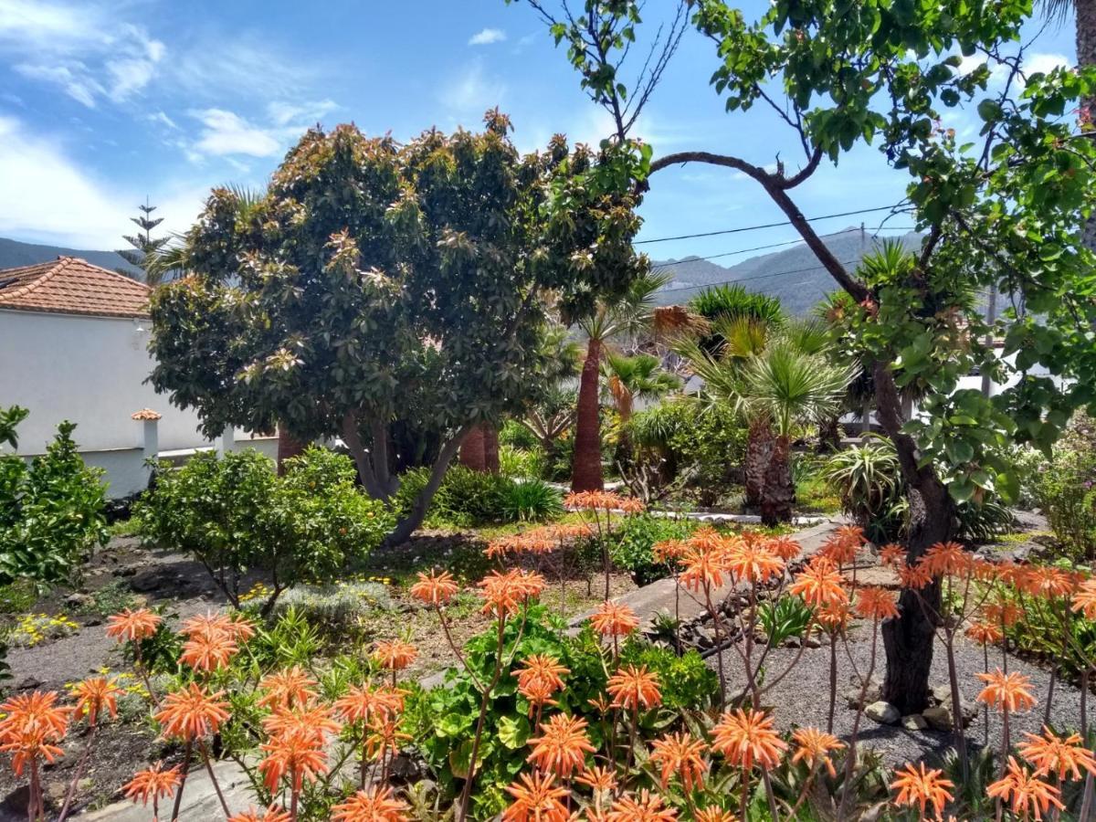 Finca Primavera El Paso Ngoại thất bức ảnh